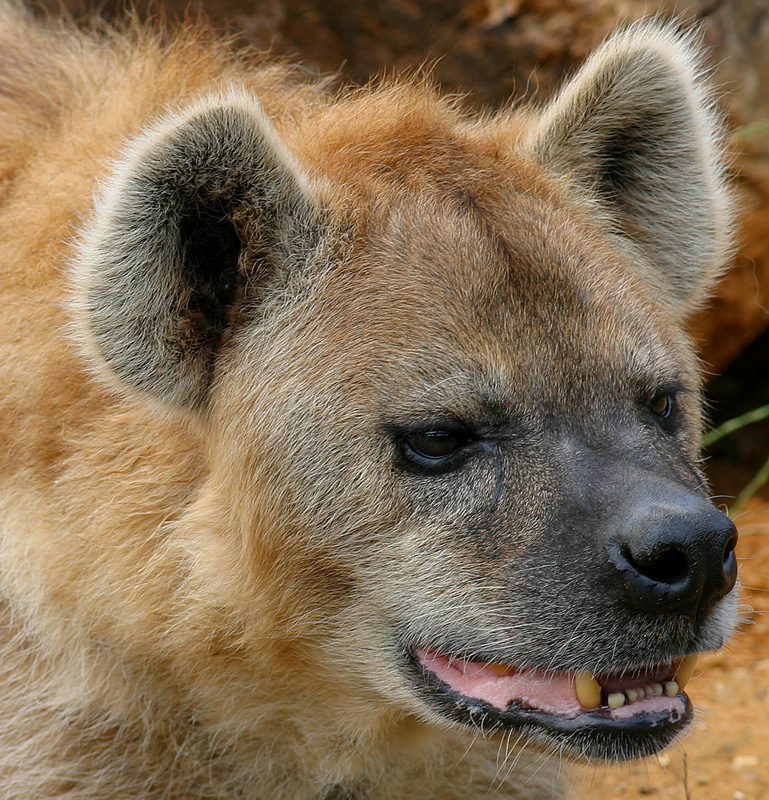 Photography by RitaRichter for DesignCrowd (Community Contests) | Design #9102135