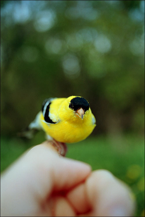 Photography by Six-Something for DesignCrowd (Community Contests) | Design #9102084