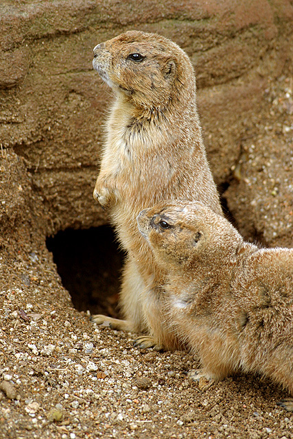 Photography by Alex999 for DesignCrowd (Community Contests) | Design #9102167