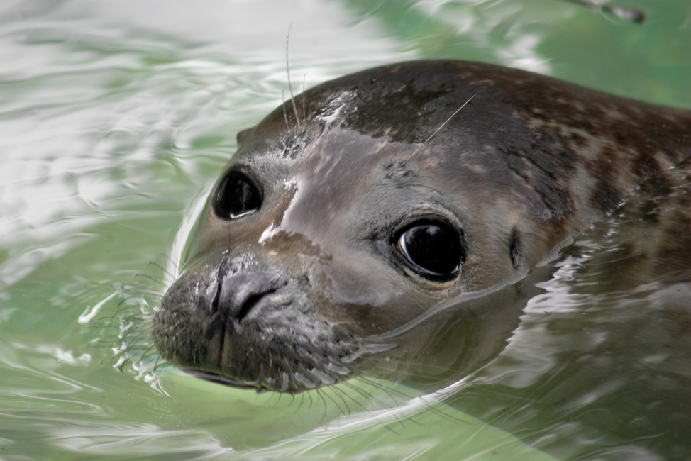 Photographie par branie pour DesignCrowd (Community Contests) | Design #9102086