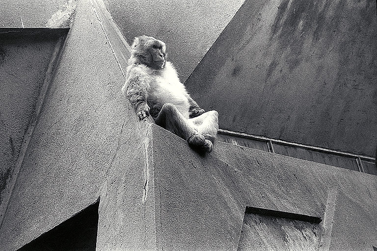 Photography by pisces for DesignCrowd (Community Contests) | Design #9102230