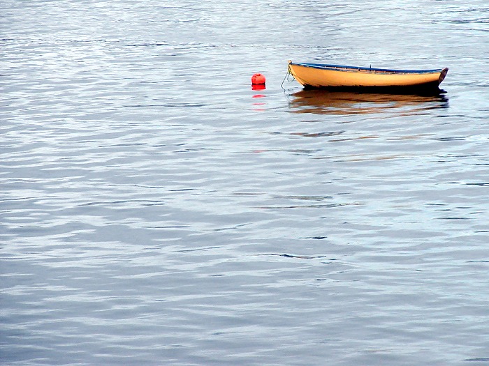 Photographie par KarenC pour DesignCrowd (Community Contests) | Design #9117411