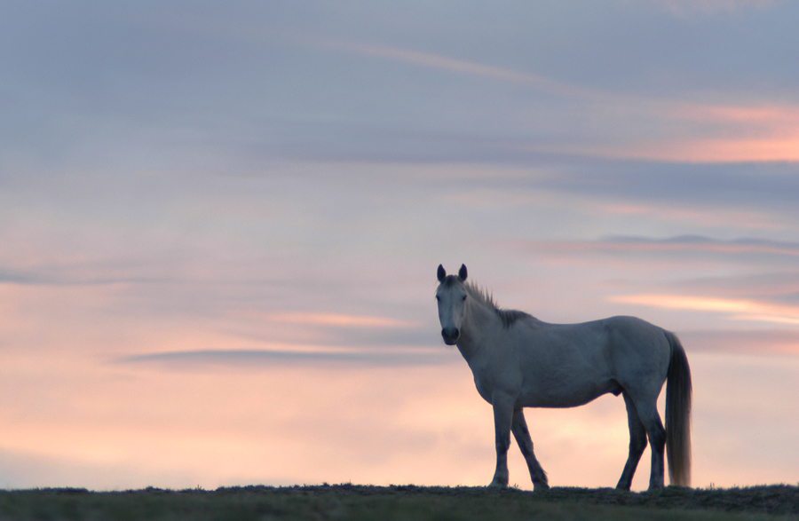 Fotografía por londubh para DesignCrowd (Community Contests) | Diseño #9117417