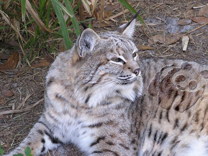 Photoshop Design by ottaia for DesignCrowd (Community Contests) | Design #9094370