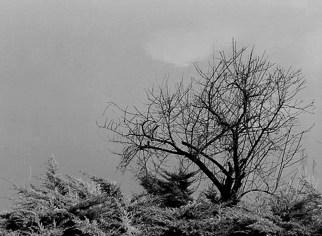 Photography by ALS14213 for DesignCrowd (Community Contests) | Design #9117458