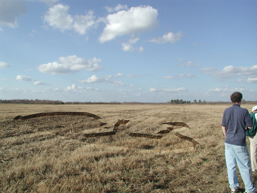 Diseño de Photoshop por FallingFaster11 para DesignCrowd (Community Contests) | Diseño #9094404