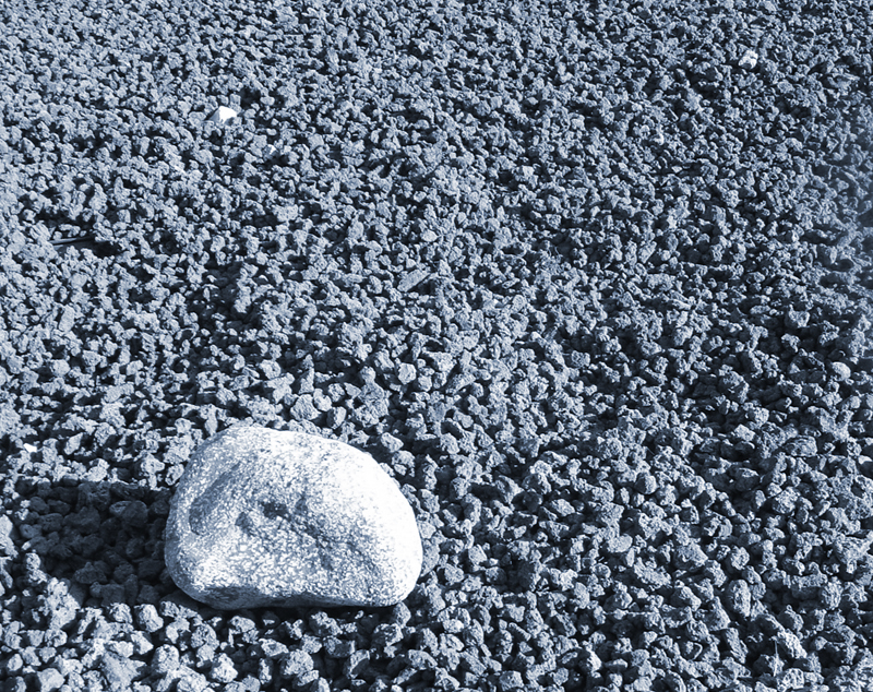 Photography by frankule for DesignCrowd (Community Contests) | Design #9117457