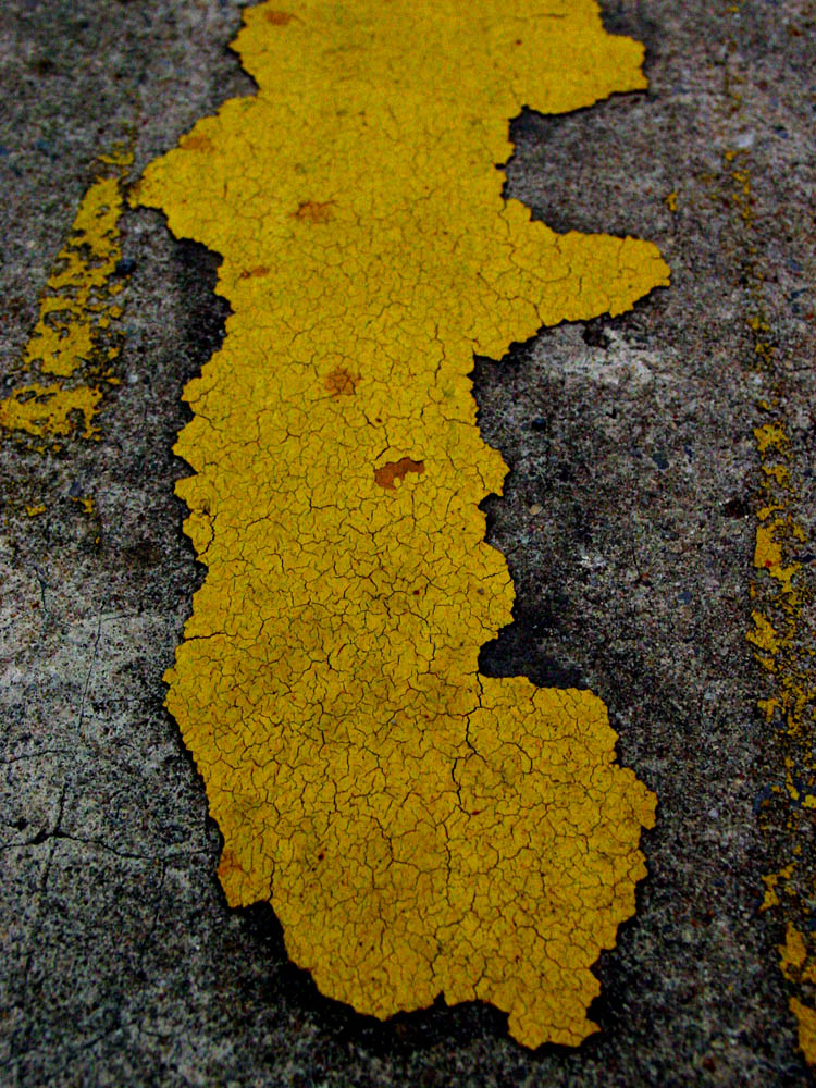 Fotografie von Angeldog1 für DesignCrowd (Community Contests) | Design #9119811