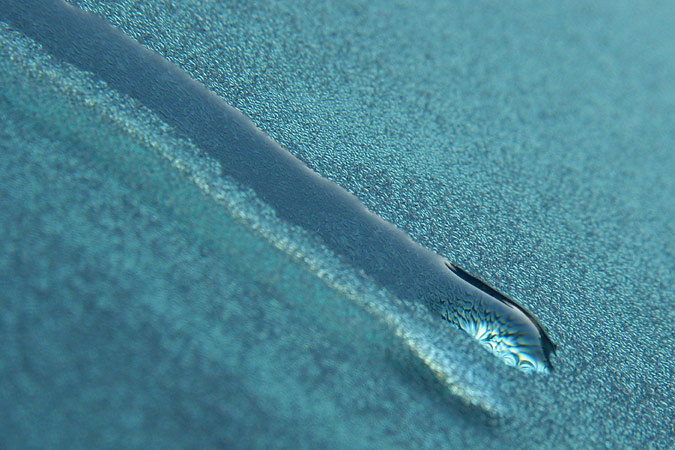 Photography by MrPumpernickel for DesignCrowd (Community Contests) | Design #9117462