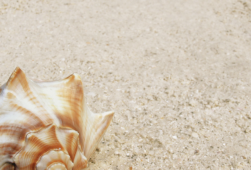 Fotografía por TampaDroid para DesignCrowd (Community Contests) | Diseño #9117454