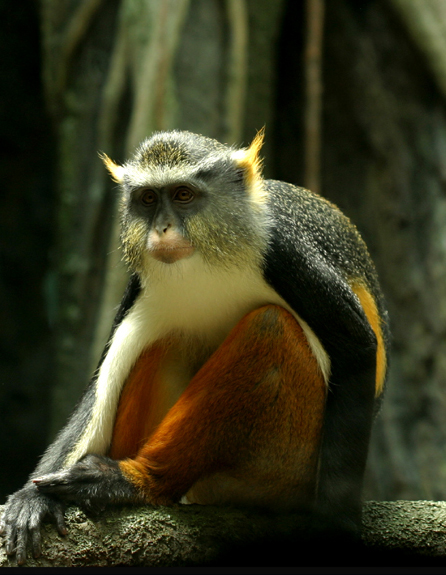 Photography by bobike for DesignCrowd (Community Contests) | Design #9119802