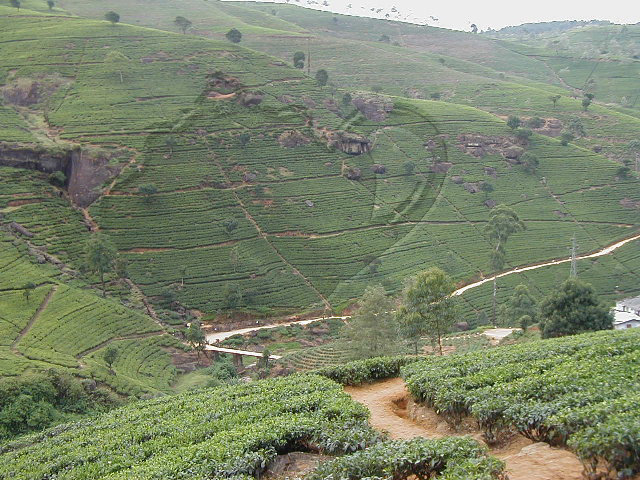 Photoshop-Design von Quencharoo für DesignCrowd (Community Contests) | Design #9094460