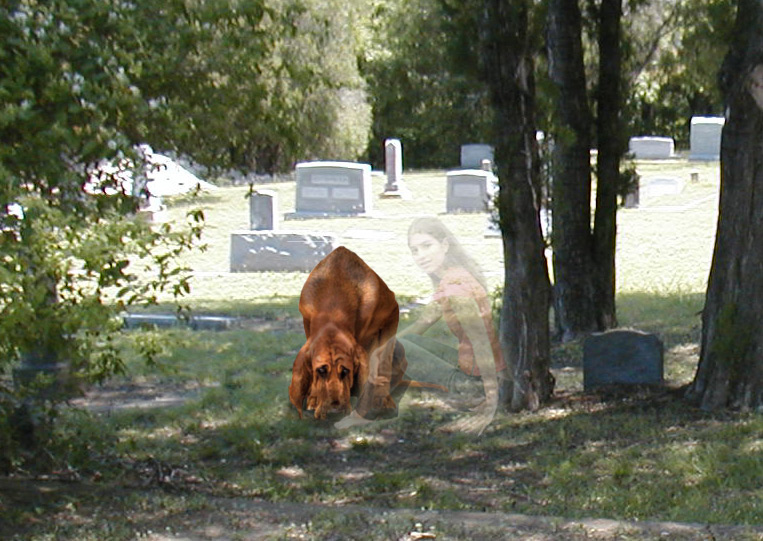 Design Photoshop par lebbTN pour DesignCrowd (Community Contests) | Design #9120631