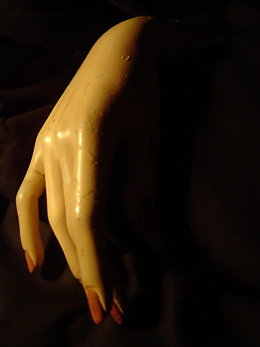 Photography by coopaloop for DesignCrowd (Community Contests) | Design #9117483