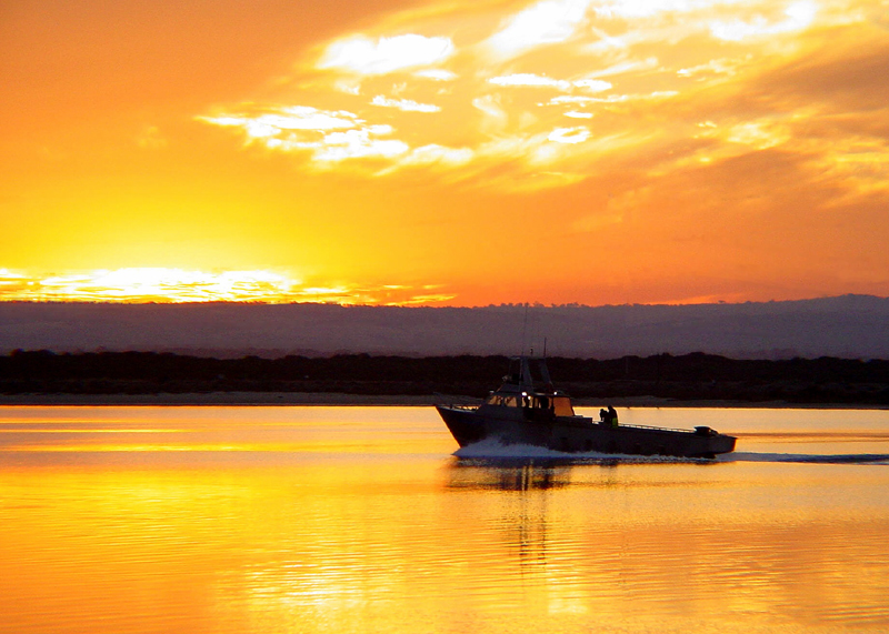 Photography by AussieBluey for DesignCrowd (Community Contests) | Design #9119804