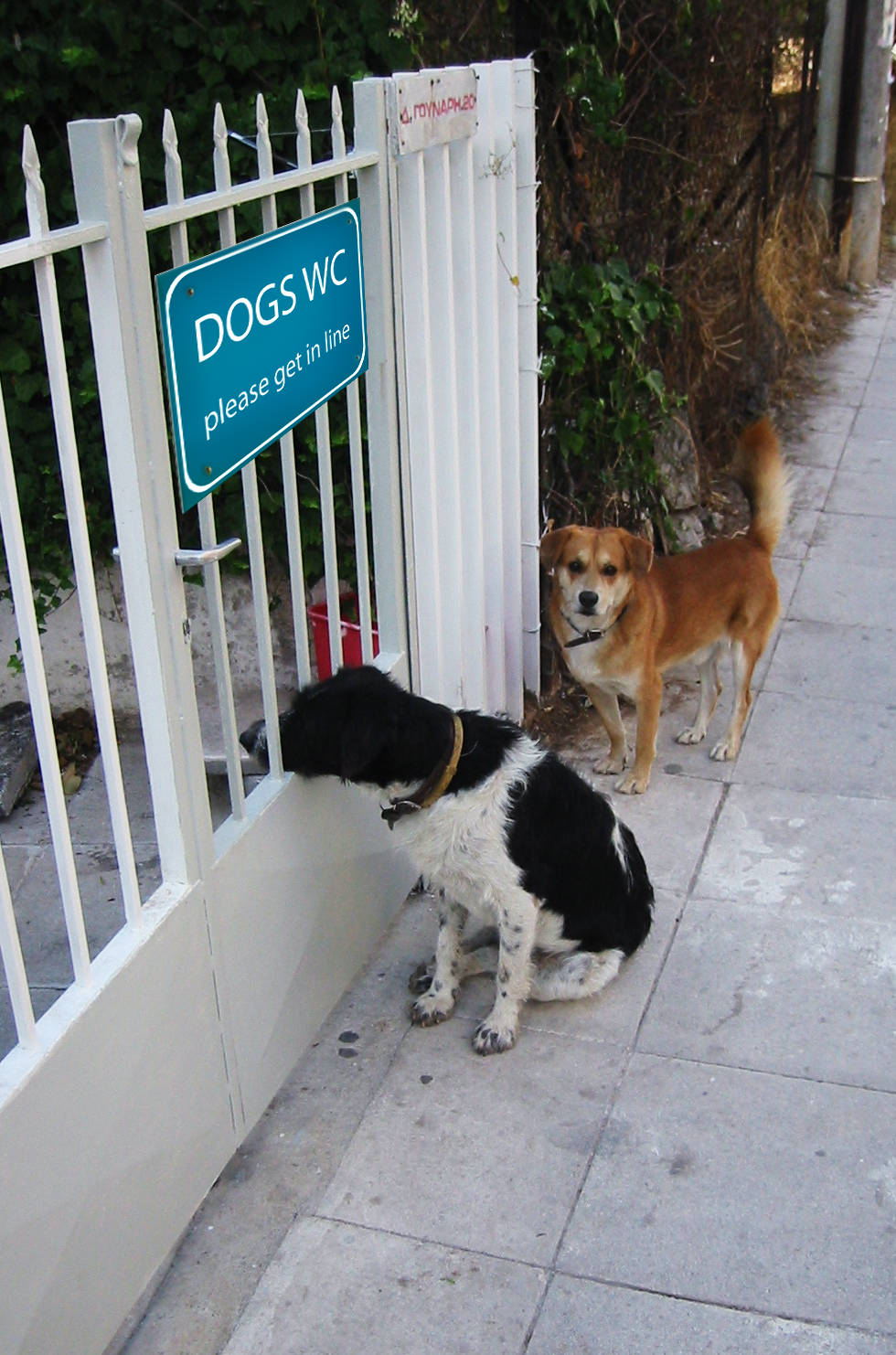 Photoshop Design by alkisti for DesignCrowd (Community Contests) | Design #9115752