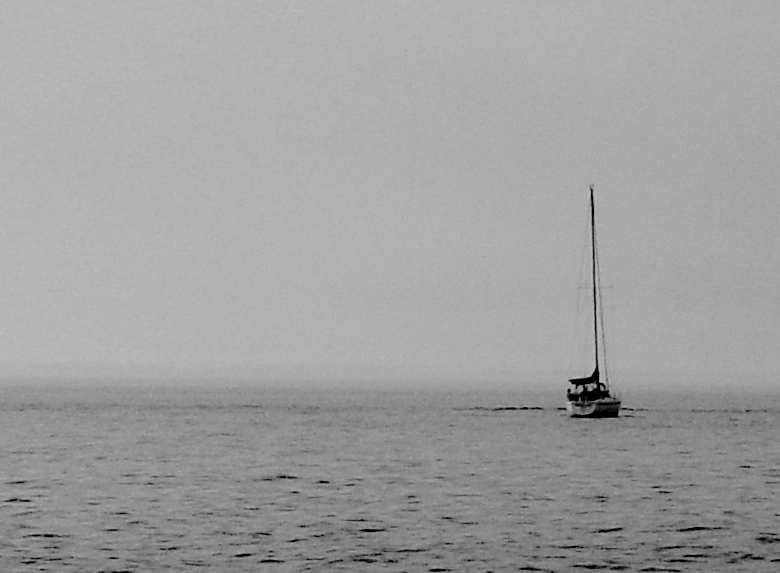 Photography by ottaia for DesignCrowd (Community Contests) | Design #9117479