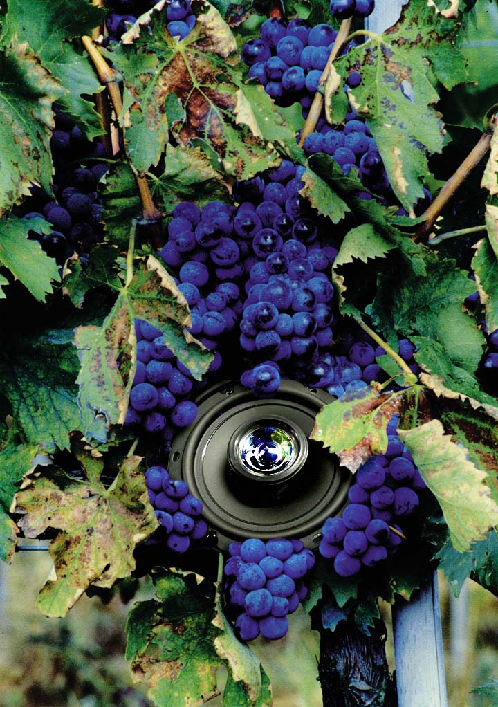 Design Photoshop par m000ch pour DesignCrowd (Community Contests) | Design #9120737