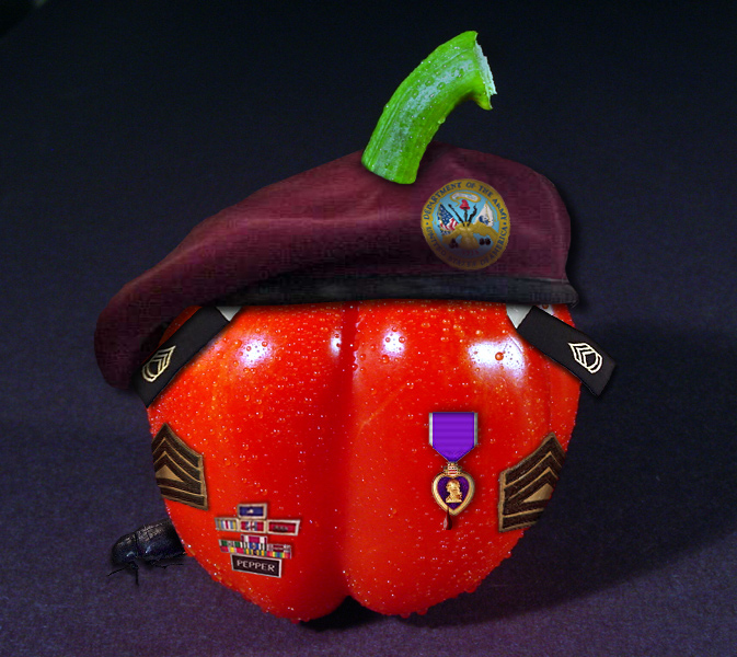 Photoshop-Design von Trit für DesignCrowd (Community Contests) | Design #9120707