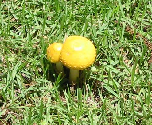 Photography by Caligreal for DesignCrowd (Community Contests) | Design #9119842