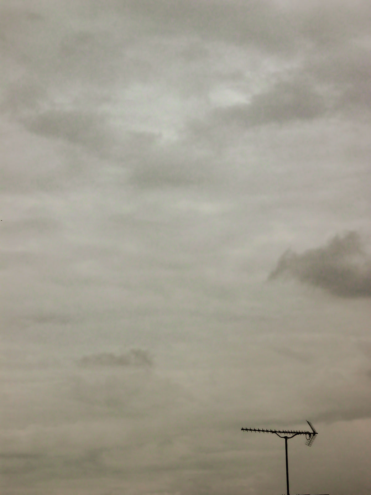 Photography by molusco for DesignCrowd (Community Contests) | Design #9117549