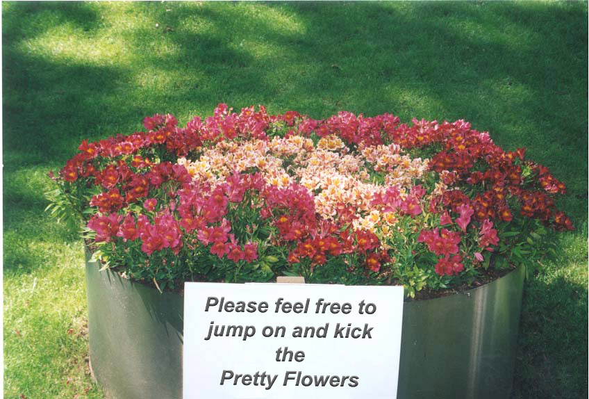 Photoshop Design by Budmulla for DesignCrowd (Community Contests) | Design #9115764