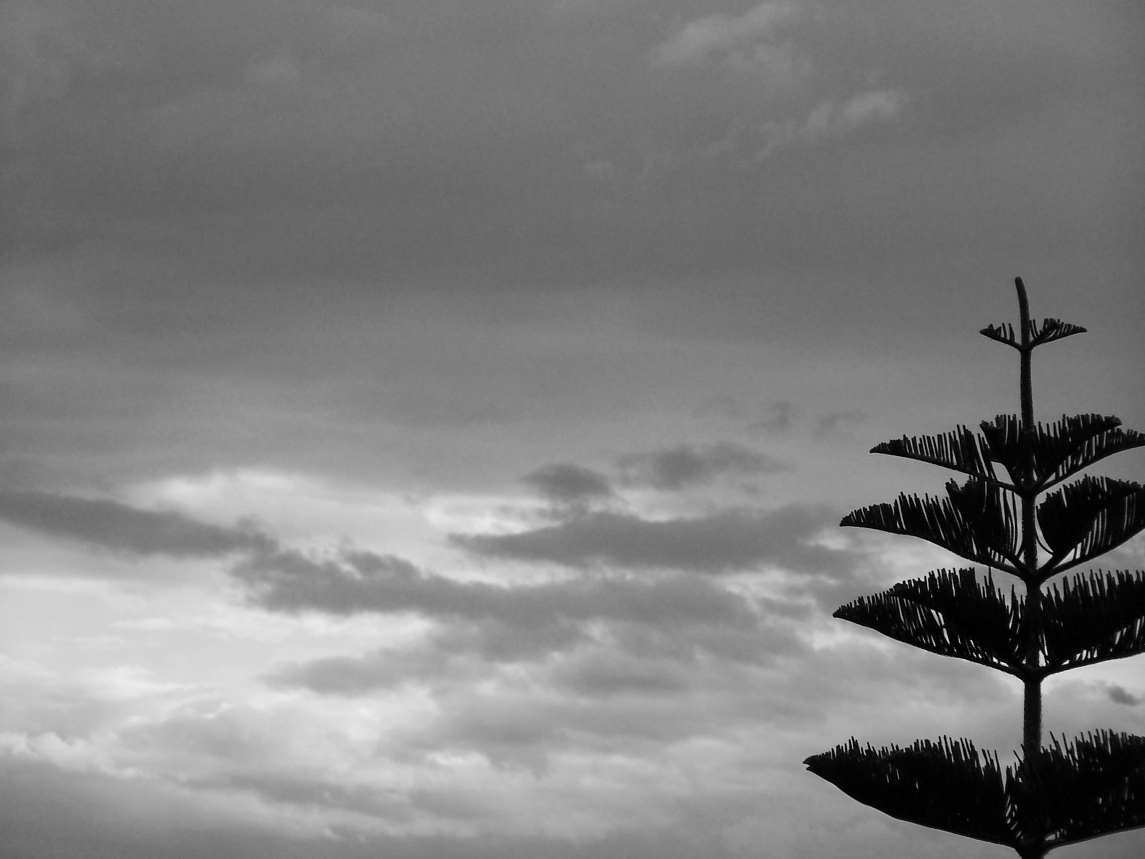 Photographie par orzedman pour DesignCrowd (Community Contests) | Design #9117573