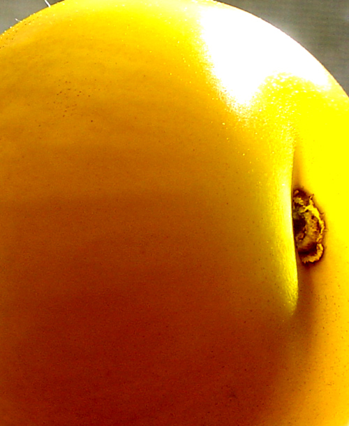 Photography by beckettboots for DesignCrowd (Community Contests) | Design #9119889