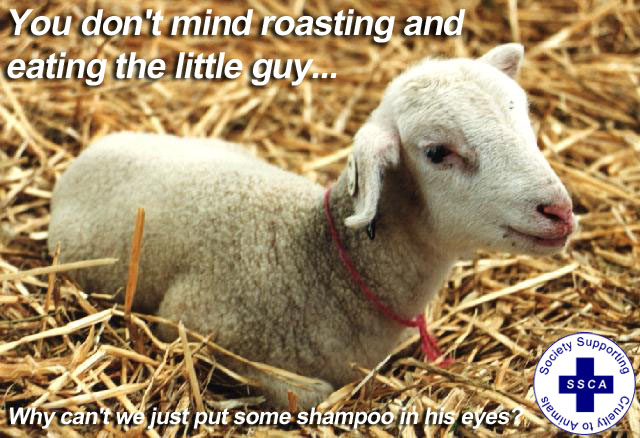 Photoshop Design by bigbadsi for DesignCrowd (Community Contests) | Design #9118403