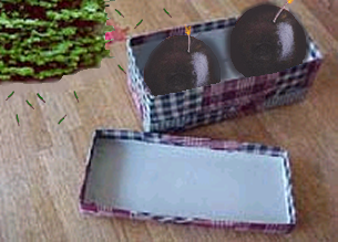 Photoshop Design by CalicoK for DesignCrowd (Community Contests) | Design #9121416