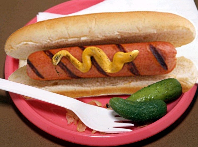 Photoshop Design by Nana for DesignCrowd (Community Contests) | Design #9121356