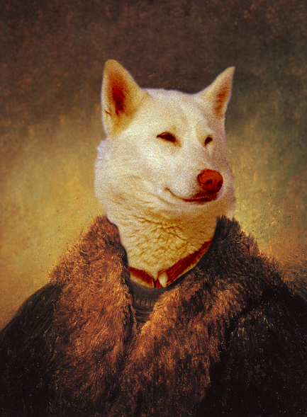 Photoshop Design by srinoo for DesignCrowd (Community Contests) | Design #9109503