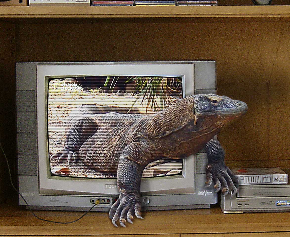 Photoshop Design by Indopser for DesignCrowd (Community Contests) | Design #9118590