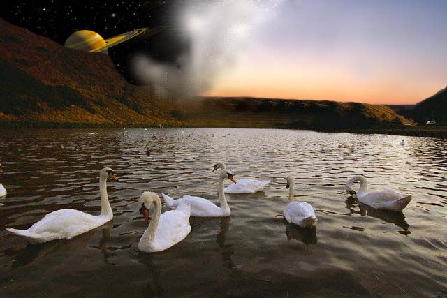Photoshop Design by crystalanne for DesignCrowd (Community Contests) | Design #9093952