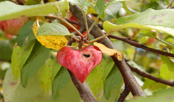 Photoshop Design by Eizzo6 for DesignCrowd (Community Contests) | Design #9091035