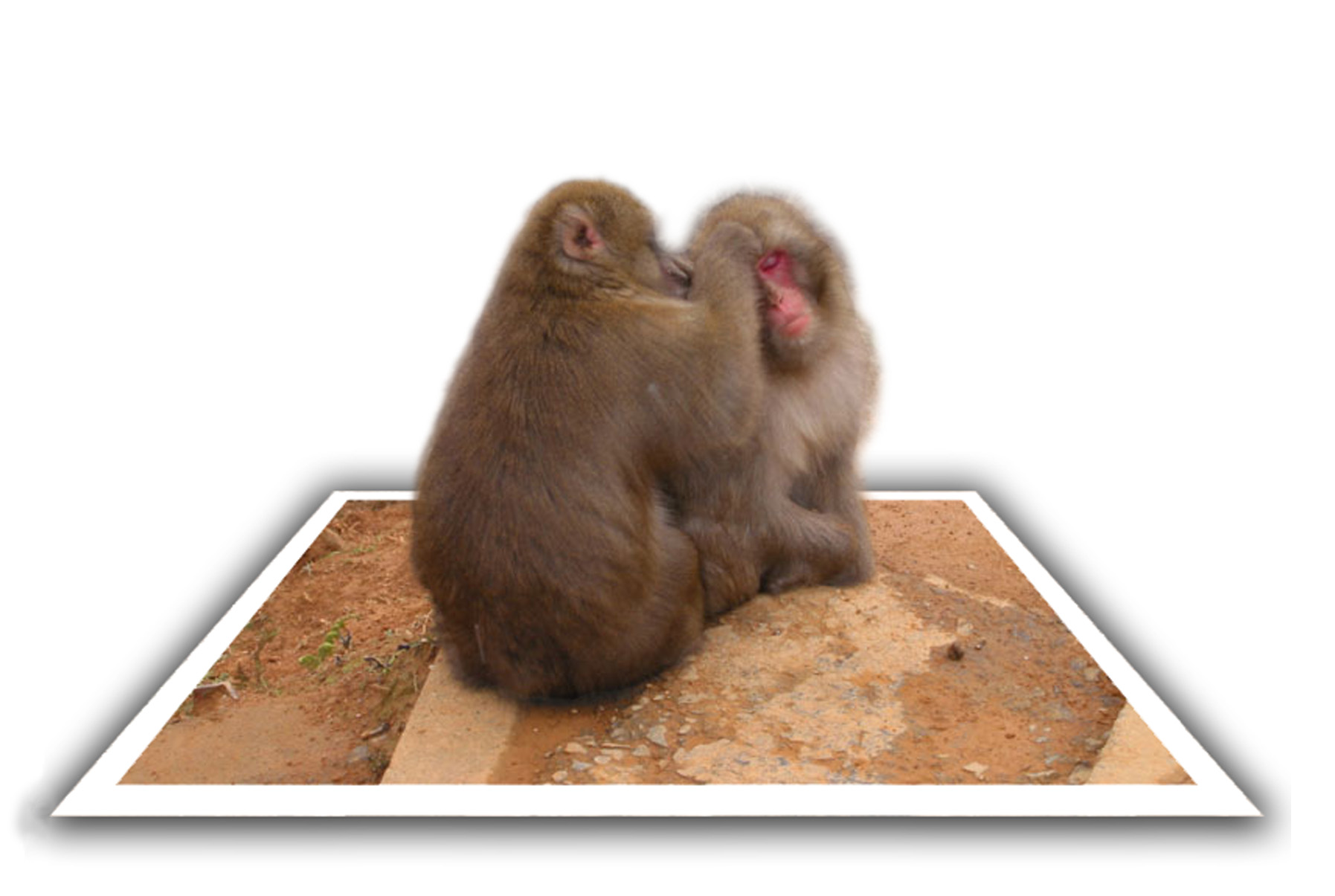 Photoshop-Design von Mostertman für DesignCrowd (Community Contests) | Design #9118851