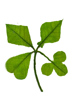 Photoshop-Design von qwertyface für DesignCrowd (Community Contests) | Design #9091048