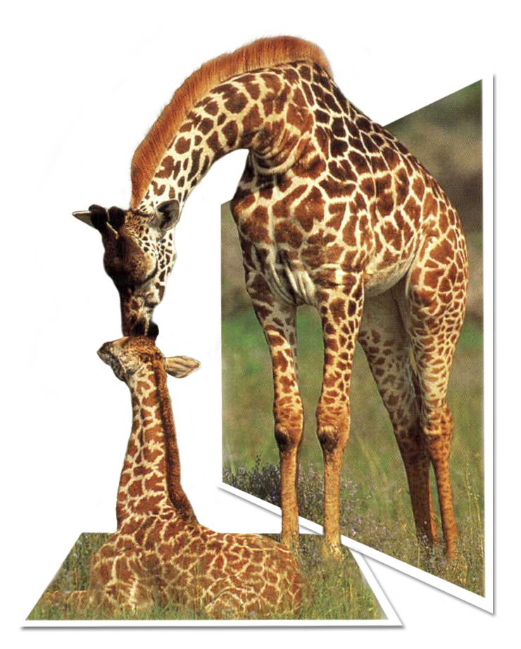 Design Photoshop par SkyEWR pour DesignCrowd (Community Contests) | Design #9118688