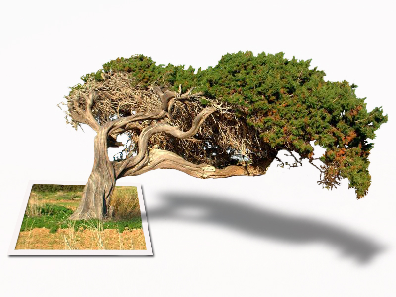 Photoshop Design by RanLar for DesignCrowd (Community Contests) | Design #9118833