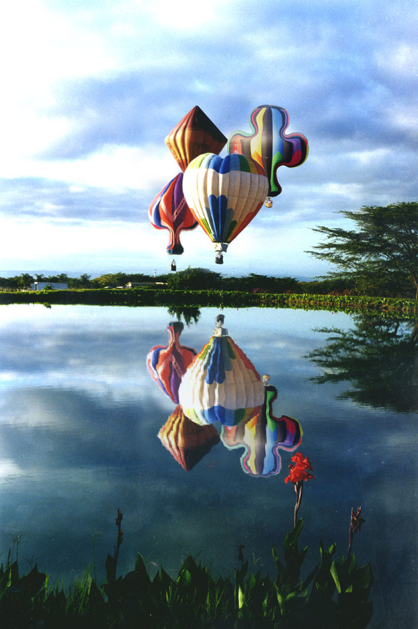 Photoshop-Design von godzillatemple für DesignCrowd (Community Contests) | Design #9091097