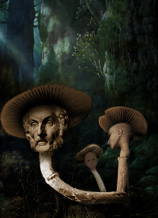 Photoshop Design by robayer for DesignCrowd (Community Contests) | Design #9093988