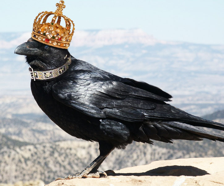 Photoshop Design by Pitinhas for DesignCrowd (Community Contests) | Design #9094005