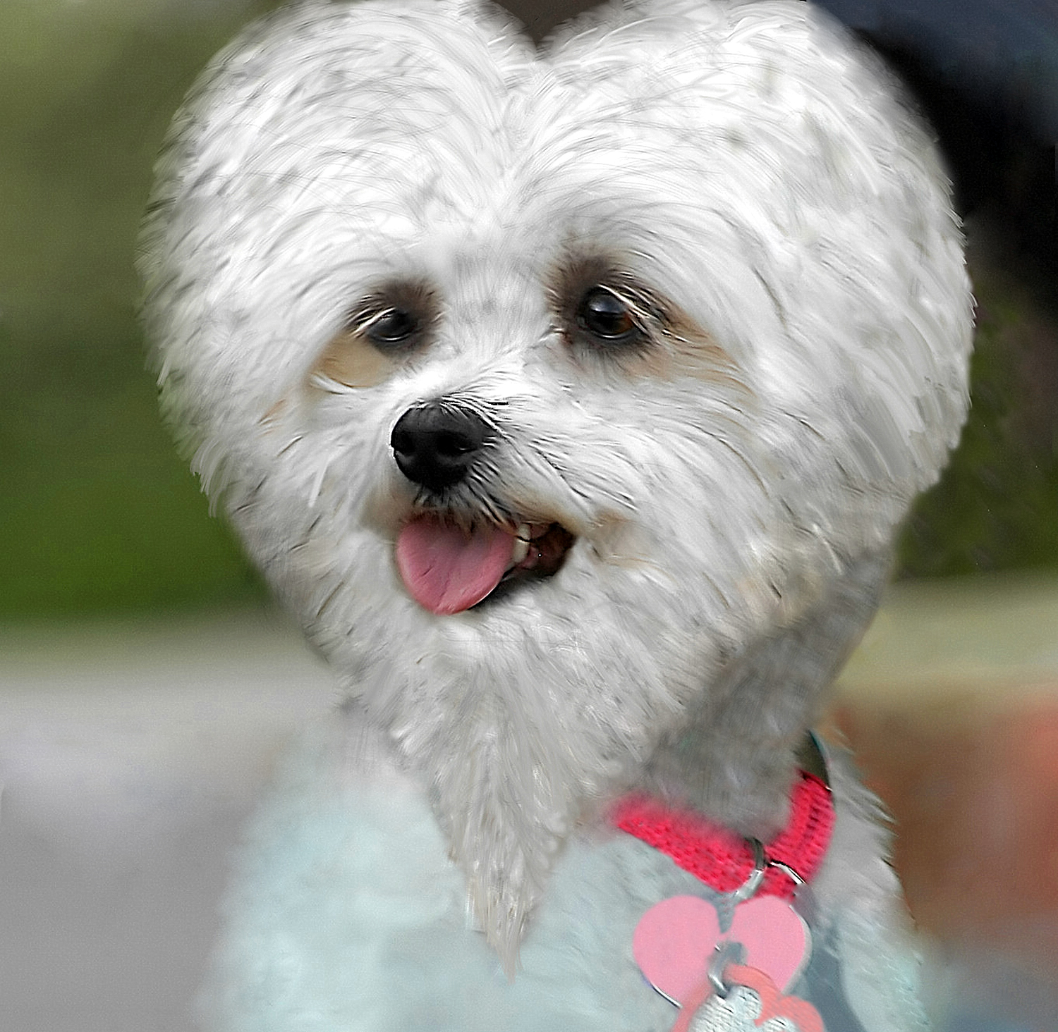 Photoshop-Design von ewall53 für DesignCrowd (Community Contests) | Design #9091179