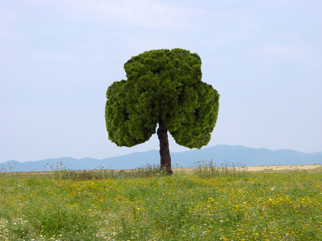 Design Photoshop par Nomad613 pour DesignCrowd (Community Contests) | Design #9091209