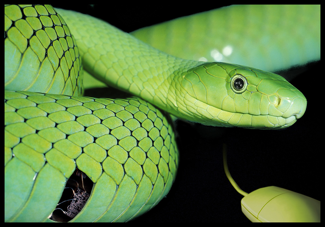 Design Photoshop par darrellperry pour DesignCrowd (Community Contests) | Design #9100528