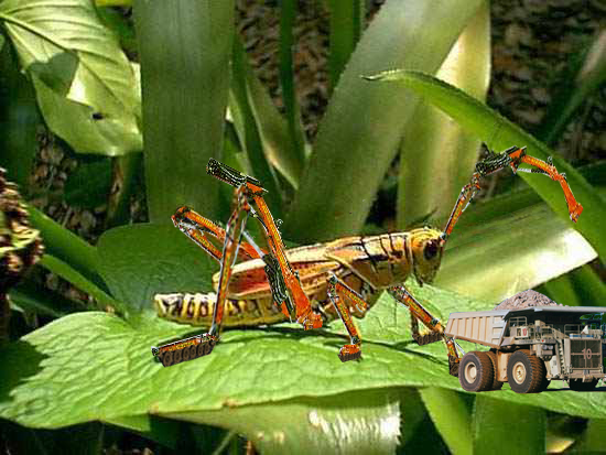 Design Photoshop par cherriesjubilee pour DesignCrowd (Community Contests) | Design #9100530