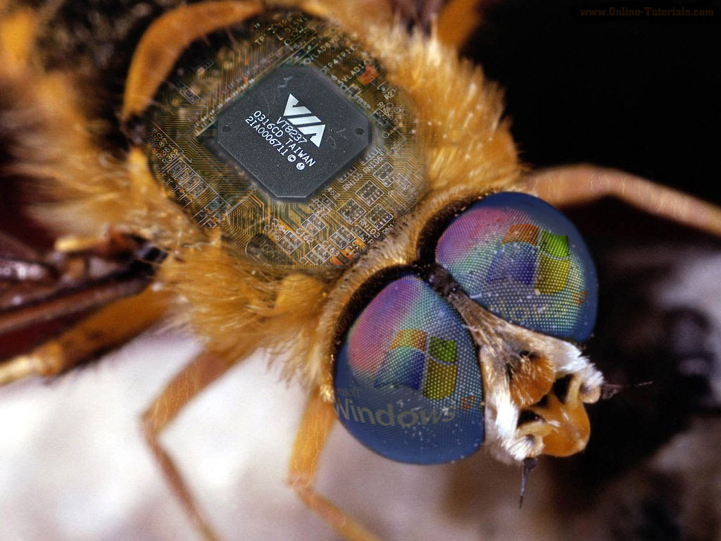 Photoshop Design by pojkensimon for DesignCrowd (Community Contests) | Design #9100558