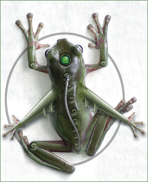 Photoshop-Design von paddyjoe für DesignCrowd (Community Contests) | Design #9100563