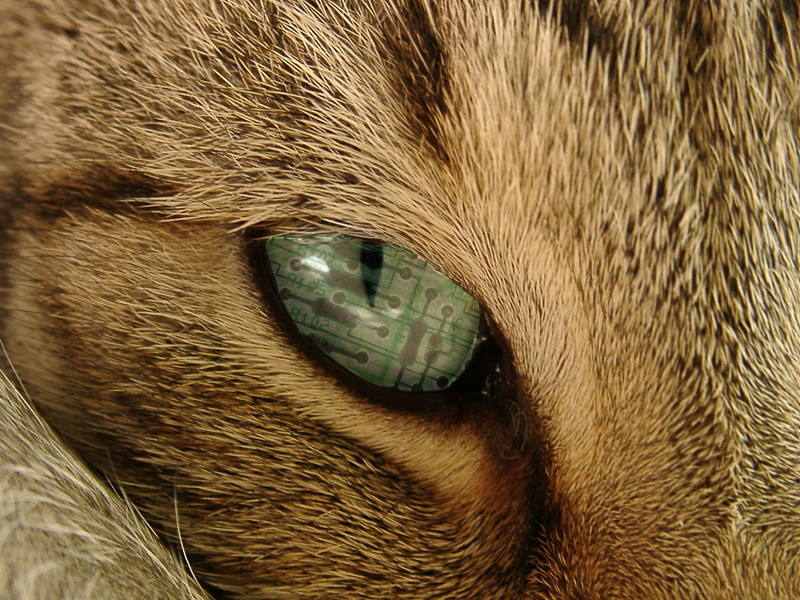 Photoshop-Design von qwertyface für DesignCrowd (Community Contests) | Design #9100679