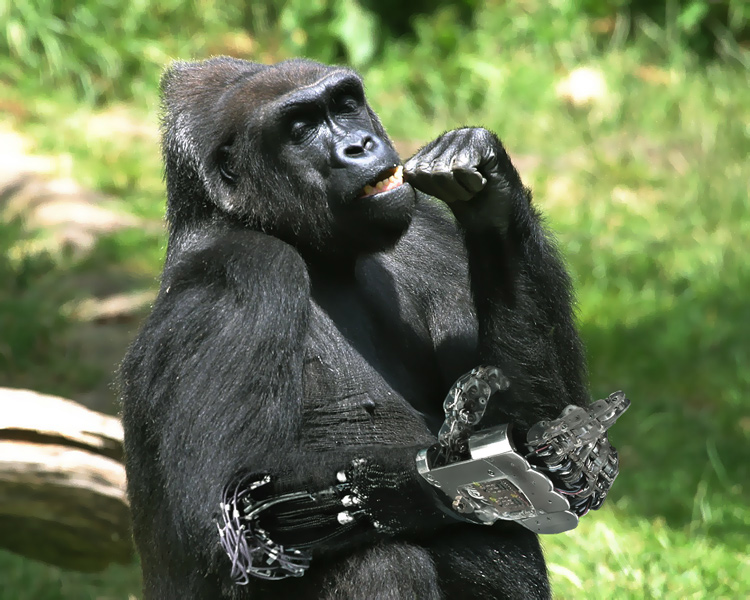 Photoshop Design by DannyHonx for DesignCrowd (Community Contests) | Design #9100716